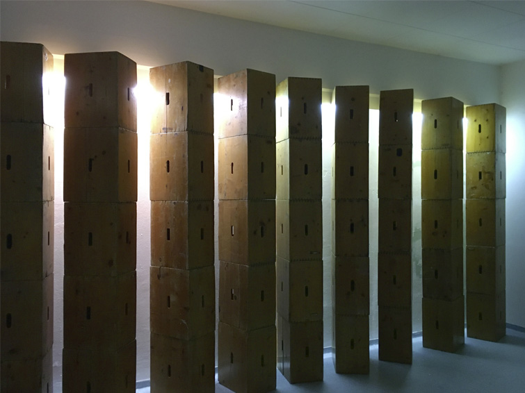 Installation aus Kisten im BiB-Lab Grätzl-Labor